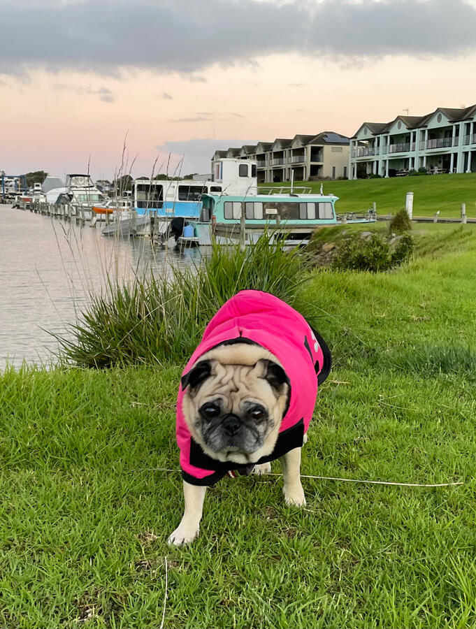 Morning marina walk